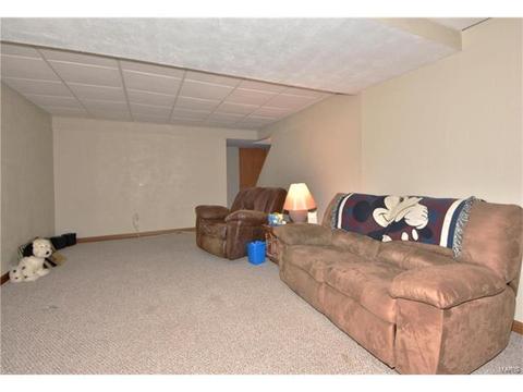 1141 Whitegate Ct, O'fallon, MO 63366 photo 21