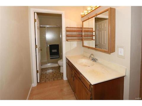 101 S Edward Ct, Eureka, MO 63025 photo 9