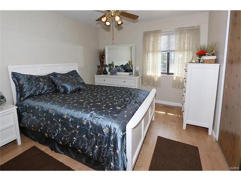 101 S Edward Ct, Eureka, MO 63025 photo 12