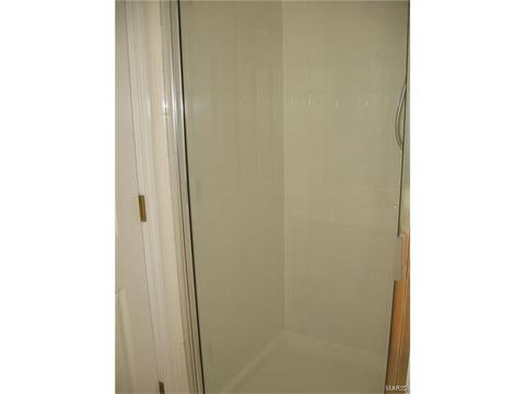 14 Brushy Brk, O'fallon, MO 63366 photo 10
