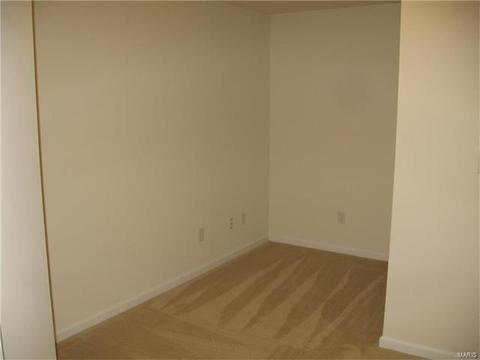 14 Brushy Brk, O'fallon, MO 63366 photo 13