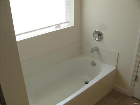 14 Brushy Brk, O'fallon, MO 63366 photo 9