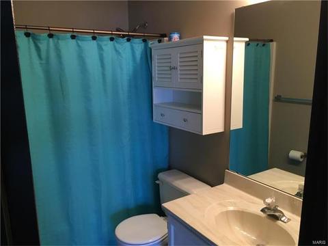 1 Royalltrail, O'fallon, MO 63368 photo 11