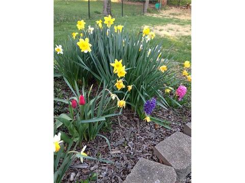 152 Lucerne Place Dr, Ballwin, MO 63011 photo 37