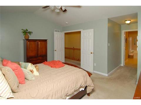 1242 Oak Borough, Ballwin, MO 63021 photo 20