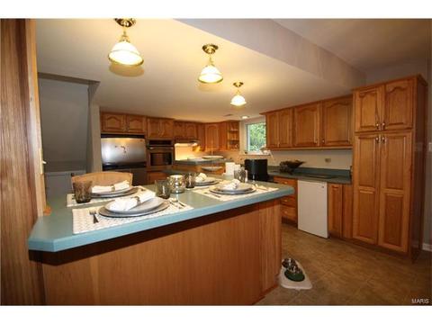 16 Forest Vw, O'fallon, MO 63366 photo 7