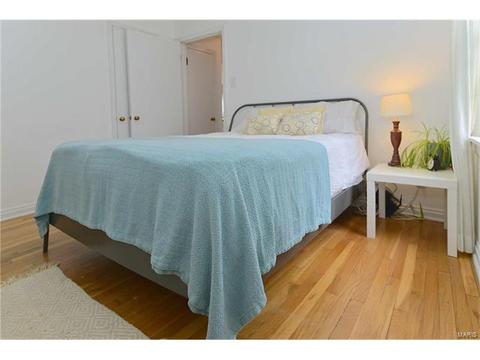 203 E Jackson, Saint Louis, MO 63119 photo 12