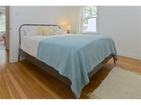 203 E Jackson, Saint Louis, MO 63119 photo 10