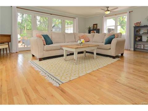 203 E Jackson, Saint Louis, MO 63119 photo 17