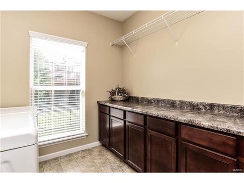 244 Fox Hvn, O'fallon, MO 63368 photo 11