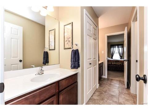 244 Fox Hvn, O'fallon, MO 63368 photo 24
