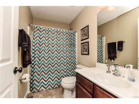 244 Fox Hvn, O'fallon, MO 63368 photo 18