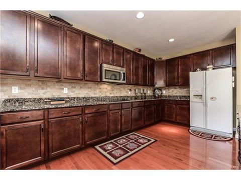244 Fox Hvn, O'fallon, MO 63368 photo 3