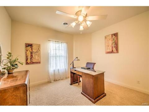 900 Stonecastle Dr, O'fallon, MO 63366 photo 52