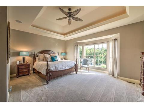 900 Stonecastle Dr, O'fallon, MO 63366 photo 42