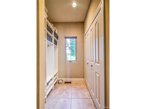 900 Stonecastle Dr, O'fallon, MO 63366 photo 48