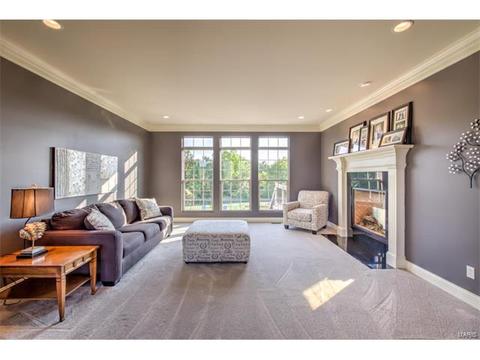 900 Stonecastle Dr, O'fallon, MO 63366 photo 29