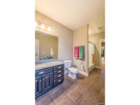 900 Stonecastle Dr, O'fallon, MO 63366 photo 63