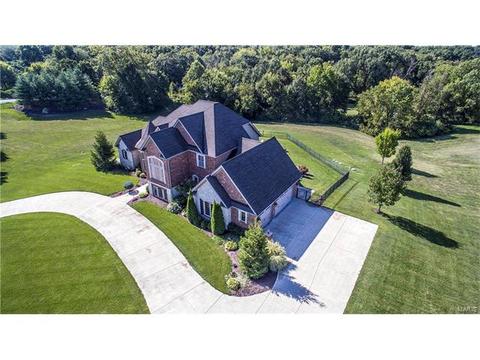 900 Stonecastle Dr, O'fallon, MO 63366 photo 3