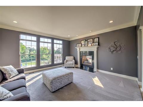 900 Stonecastle Dr, O'fallon, MO 63366 photo 30