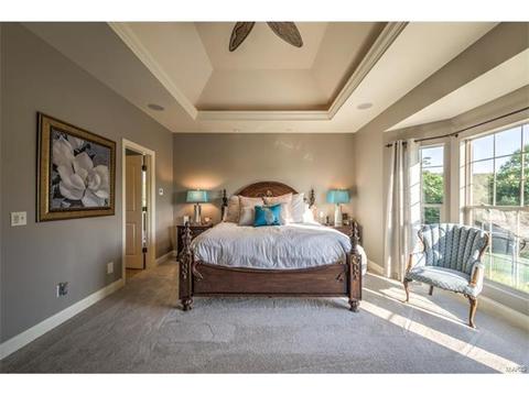 900 Stonecastle Dr, O'fallon, MO 63366 photo 43