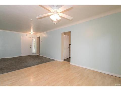419 Day Dr, Saint Louis, MO 63135 photo 6