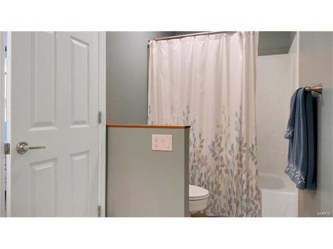 802 Pineview Trails Ct, Ballwin, MO 63021 photo 27