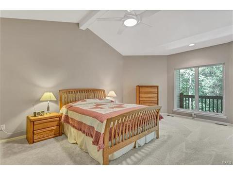 802 Pineview Trails Ct, Ballwin, MO 63021 photo 18