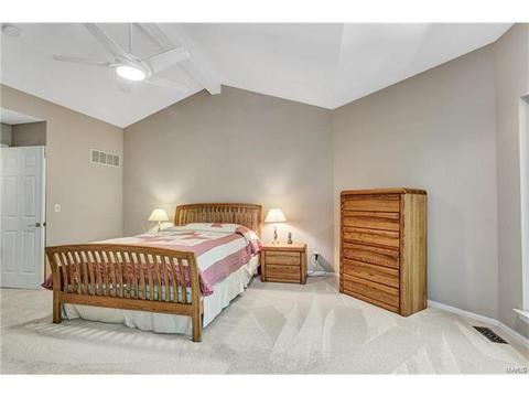 802 Pineview Trails Ct, Ballwin, MO 63021 photo 20