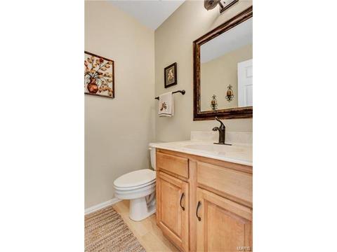 802 Pineview Trails Ct, Ballwin, MO 63021 photo 17