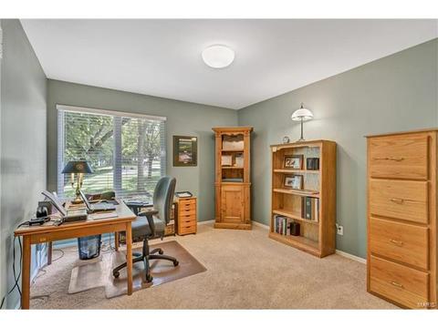 802 Pineview Trails Ct, Ballwin, MO 63021 photo 25