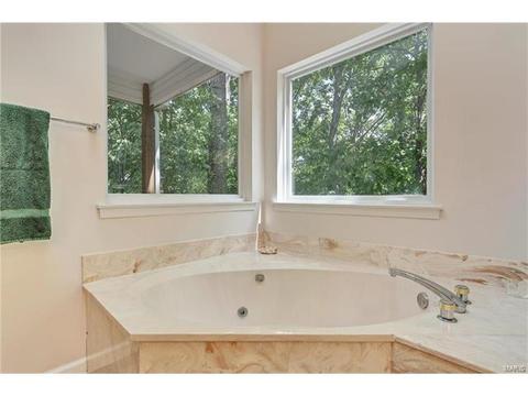 802 Pineview Trails Ct, Ballwin, MO 63021 photo 23