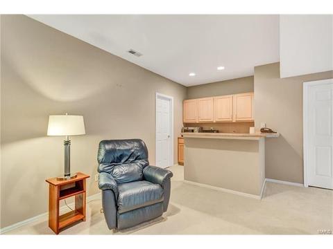 802 Pineview Trails Ct, Ballwin, MO 63021 photo 34