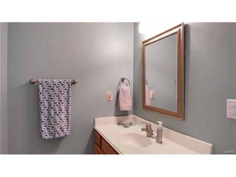 802 Pineview Trails Ct, Ballwin, MO 63021 photo 26