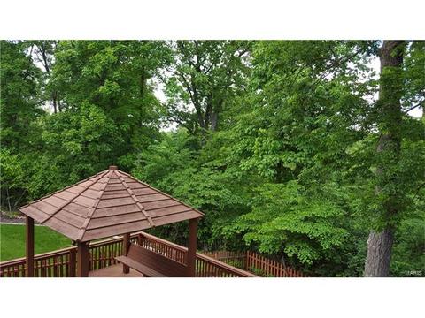 7 Roseberry Topping Ct, Weldon Spring, MO 63304 photo 38