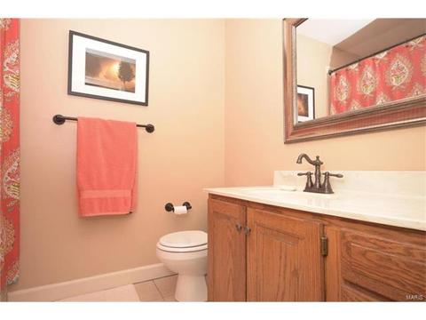 7 Roseberry Topping Ct, Weldon Spring, MO 63304 photo 28