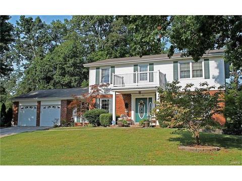 14 Leaside Ct, Manchester, MO 63011 photo 1
