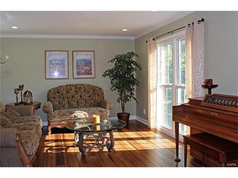 14 Leaside Ct, Manchester, MO 63011 photo 8