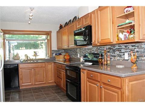 14 Leaside Ct, Manchester, MO 63011 photo 10
