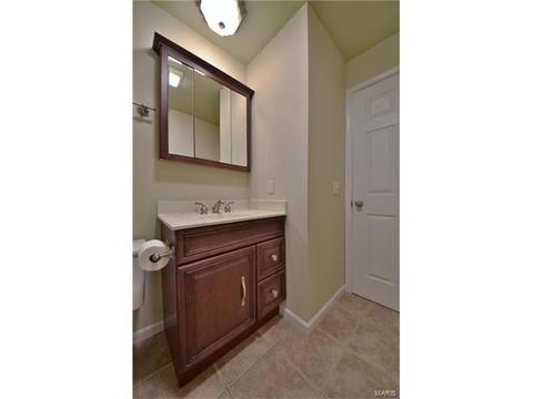 522 Red Bridge Ct, Ballwin, MO 63021 photo 17