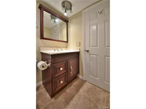522 Red Bridge Ct, Ballwin, MO 63021 photo 34