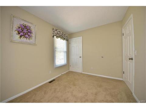 522 Red Bridge Ct, Ballwin, MO 63021 photo 21