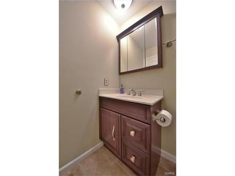 522 Red Bridge Ct, Ballwin, MO 63021 photo 24