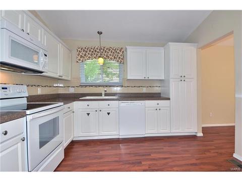 522 Red Bridge Ct, Ballwin, MO 63021 photo 12
