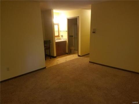 404 Strecker Rd, Wildwood, MO 63011 photo 17