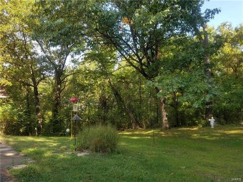404 Strecker Rd, Wildwood, MO 63011 photo 24