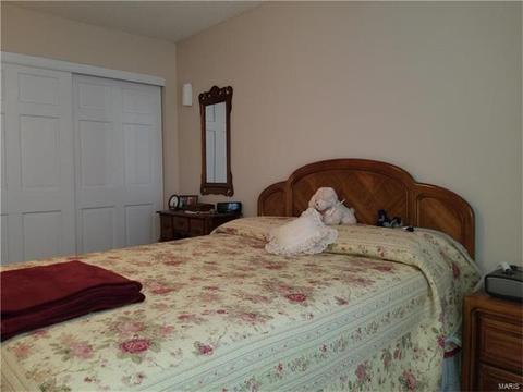 18 Beckewith, O'fallon, MO 63368 photo 21
