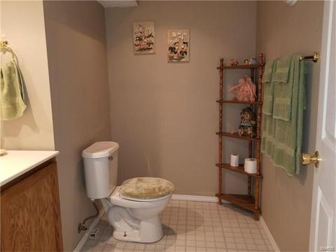 18 Beckewith, O'fallon, MO 63368 photo 29