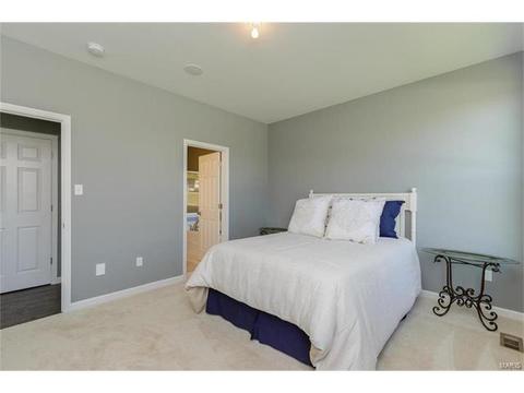119 Grenache Ct, O'fallon, MO 63368 photo 14