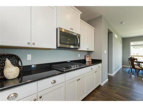 119 Grenache Ct, O'fallon, MO 63368 photo 10